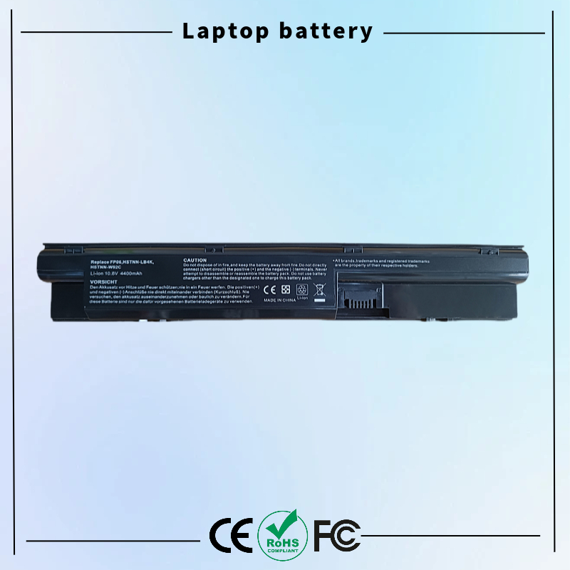 FP06